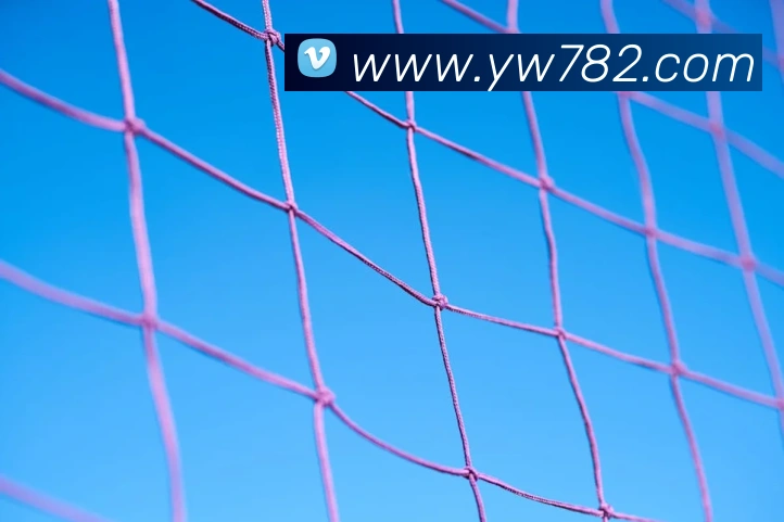 企业概况